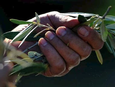 Πανελλήνιος Σύνδεσμος Εξαγωγέων: Νέο ιστορικό ρεκόρ για τον κλάδο των εξαγωγών το 2017